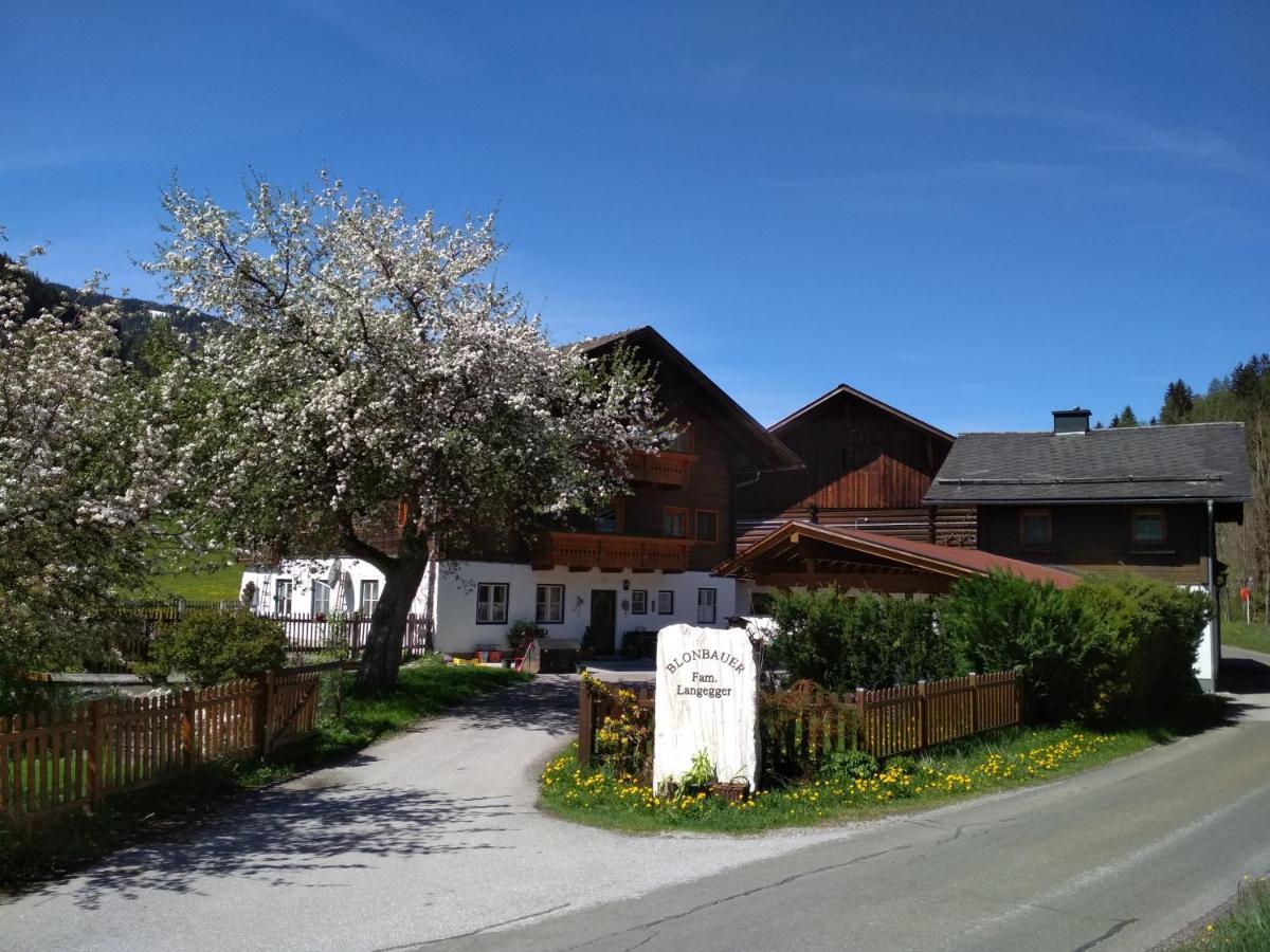 Blonbauer Villa Schladming Dış mekan fotoğraf