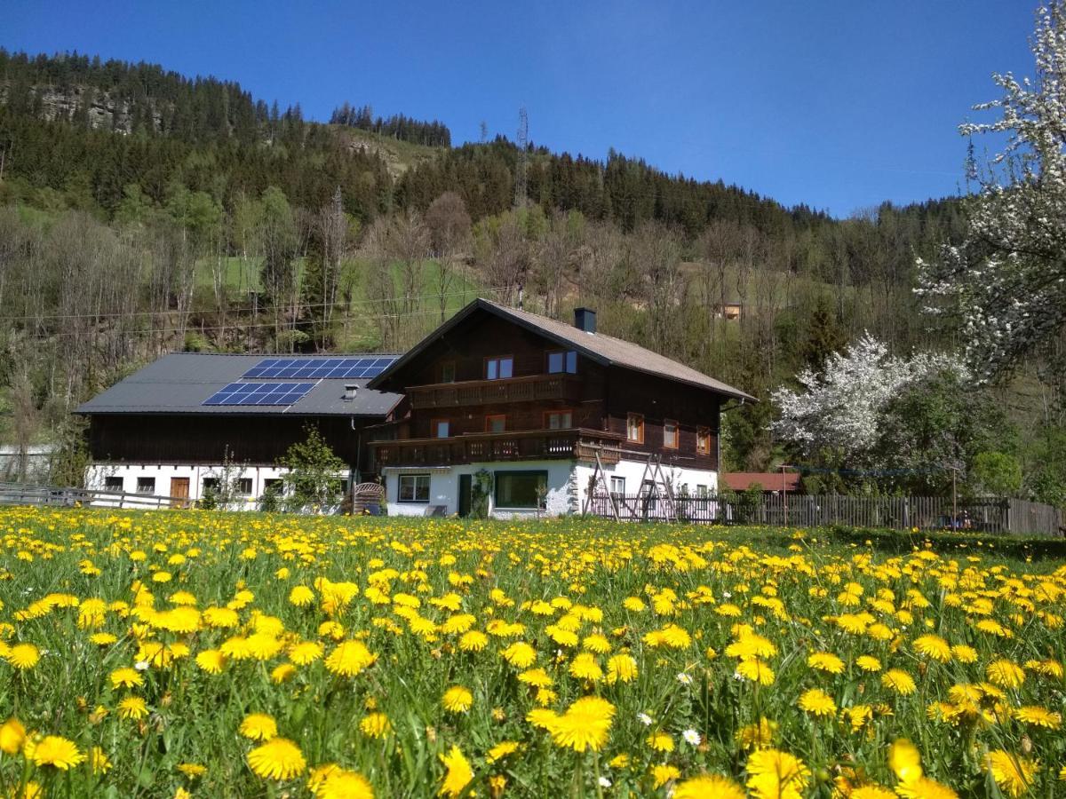 Blonbauer Villa Schladming Dış mekan fotoğraf