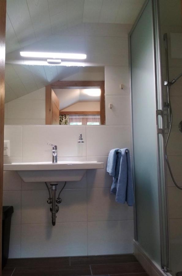 Blonbauer Villa Schladming Dış mekan fotoğraf