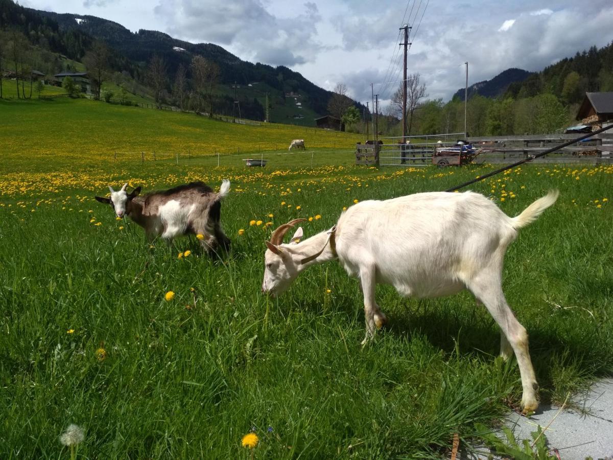Blonbauer Villa Schladming Dış mekan fotoğraf