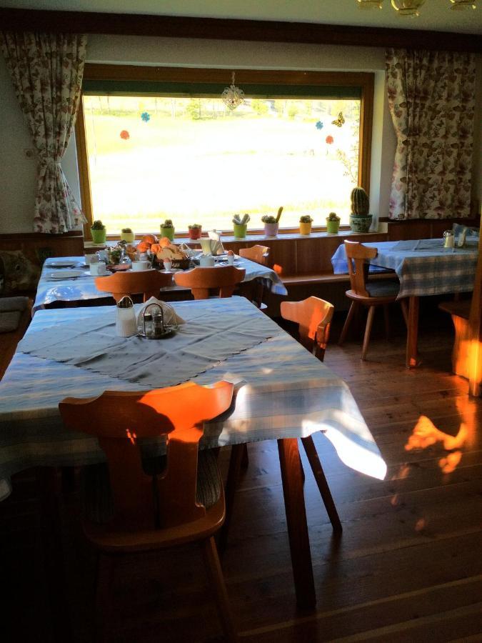 Blonbauer Villa Schladming Dış mekan fotoğraf