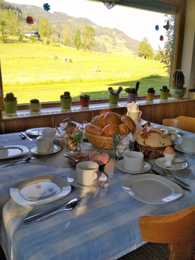 Blonbauer Villa Schladming Dış mekan fotoğraf