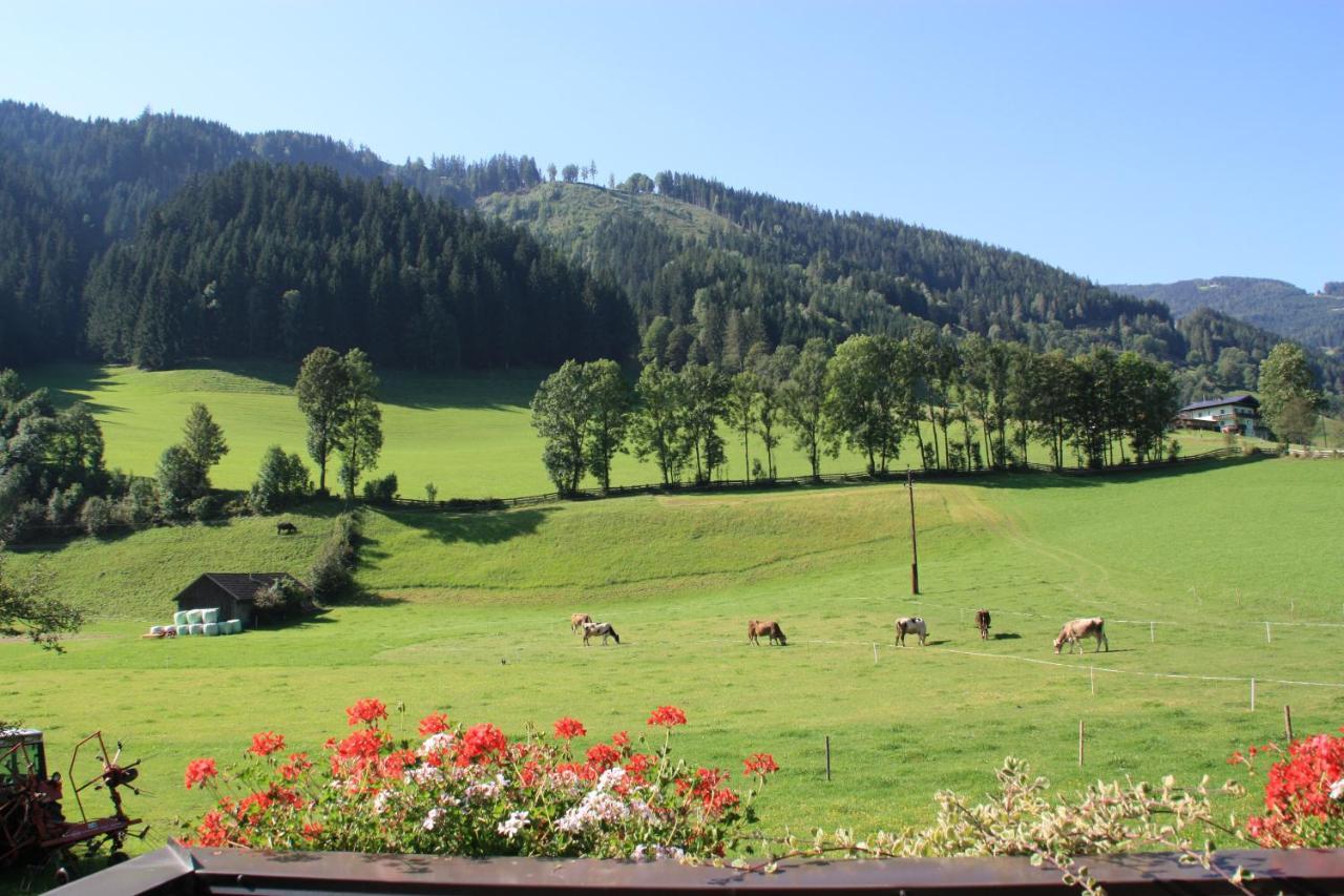 Blonbauer Villa Schladming Dış mekan fotoğraf