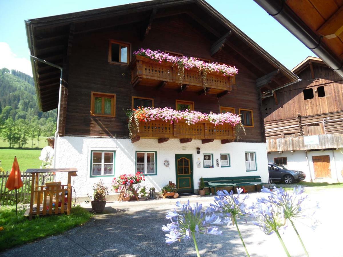 Blonbauer Villa Schladming Dış mekan fotoğraf